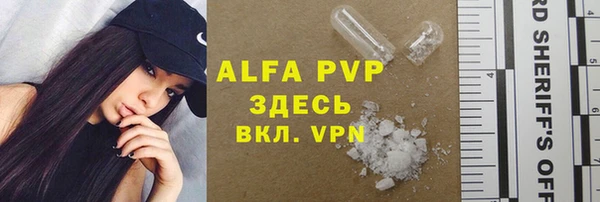 индика Михайловск