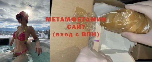 индика Михайловск