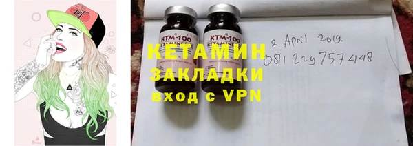 индика Михайловск