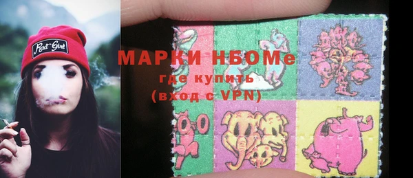 индика Михайловск