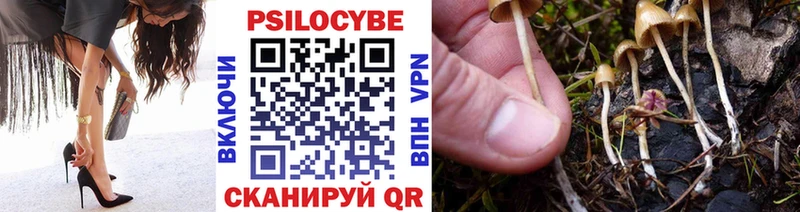 Галлюциногенные грибы GOLDEN TEACHER Нижняя Тура